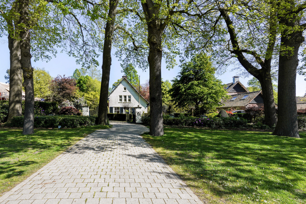 Foto 68 1000w