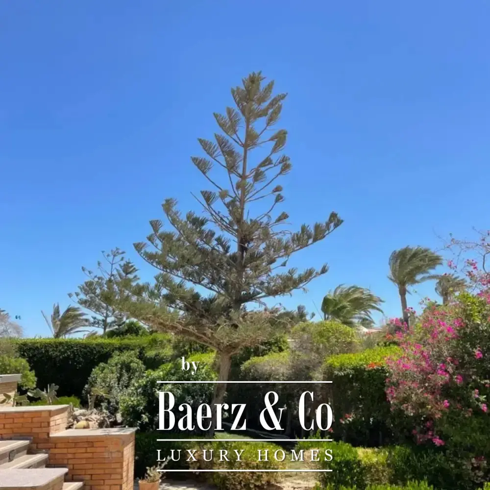 3 bed Luxury Villa Near El Gouna with Private Beach – Best Investment in the Red Sea image