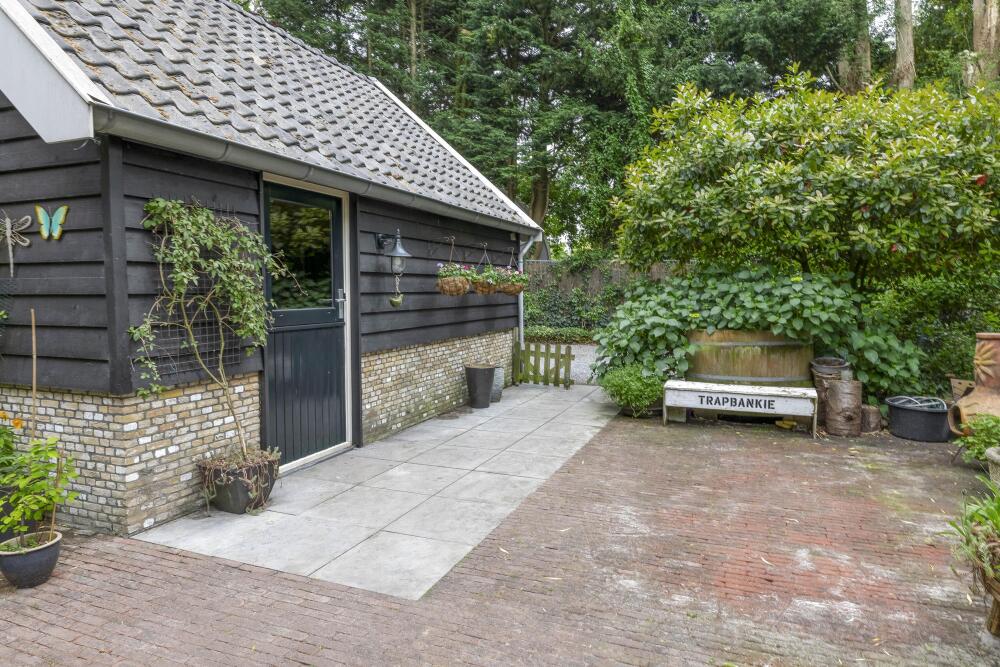 Foto 32 1000w