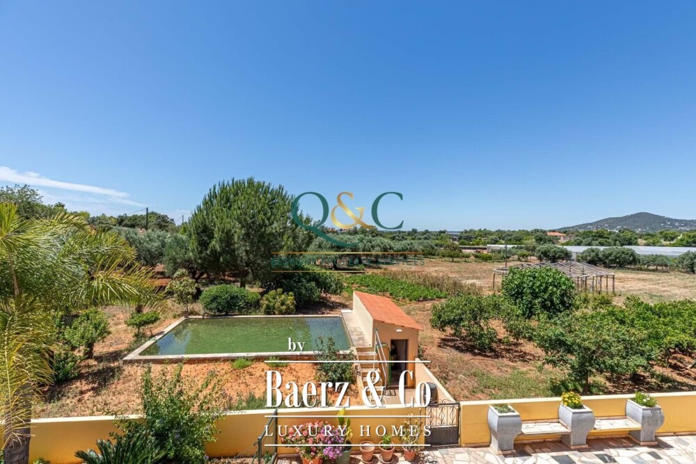 Foto 21 1000w