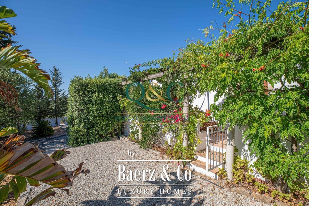 Foto 22 1000w