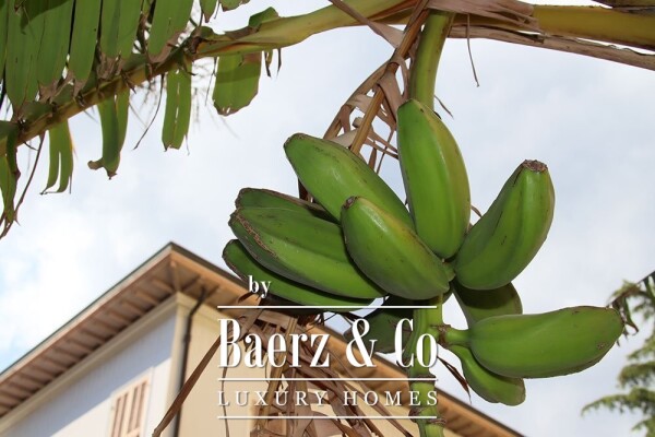 photo 39 Villa for sale 1000 m²