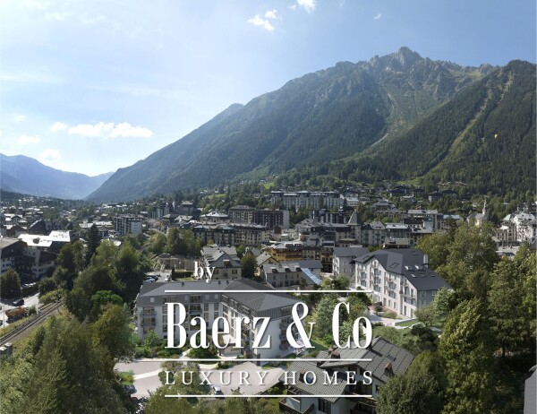 photo 10 Great 2 bedroom+cabin apartment at the top floor of a new residence