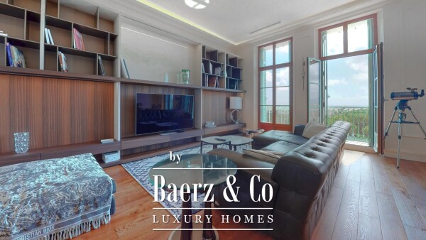 photo 7 Sale Penthouse with sea view In Cannes MontFleury