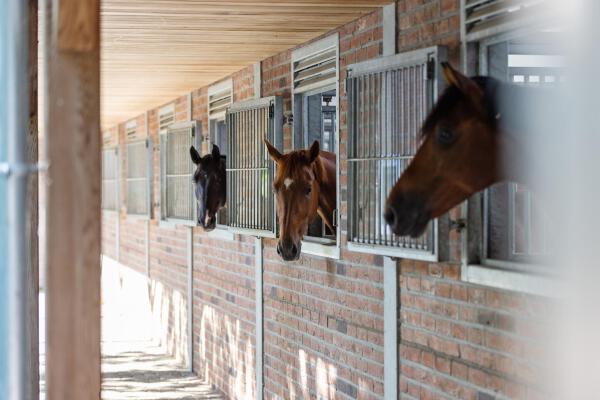 photo 52 Plattebaan 2