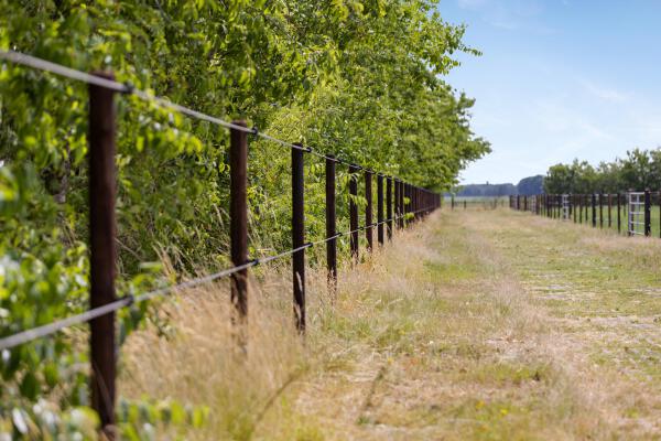 photo 82 Plattebaan 2