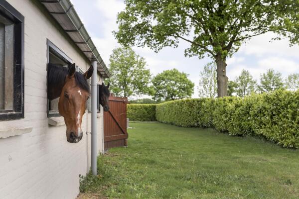 photo 5 Kampsteeg 45