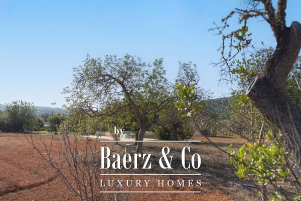 photo 50 Beautiful luxury home in San Mateo, San Mateo