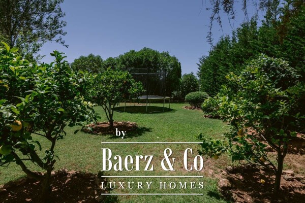 photo 10 Beautiful luxury home in Jesús, Jesús