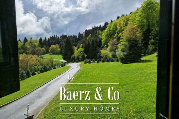 photo 27 Ravna Gora, Hleveci, charming wooden villa with 5500 m2 of building land