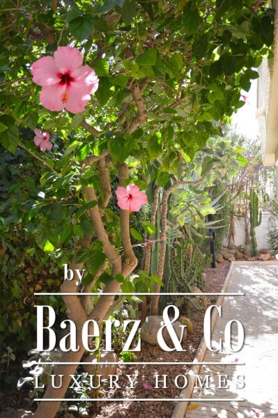 photo 9 Beautiful luxury home in Torrevieja