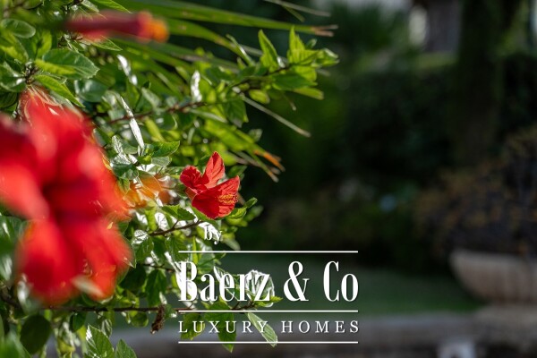 photo 23 Beautiful luxury home in Alicante, Costa Blanca