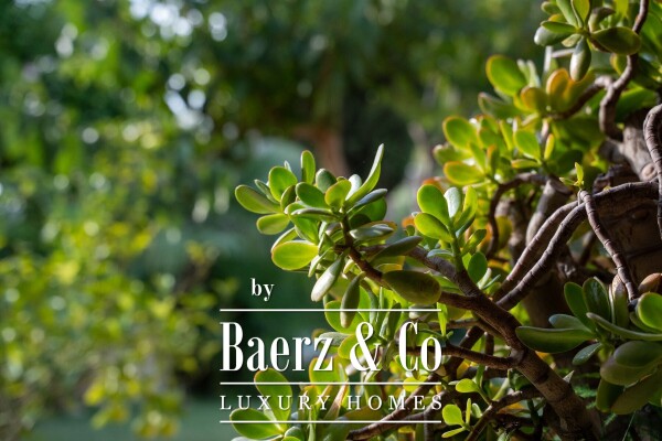 photo 26 Beautiful luxury home in Alicante, Costa Blanca