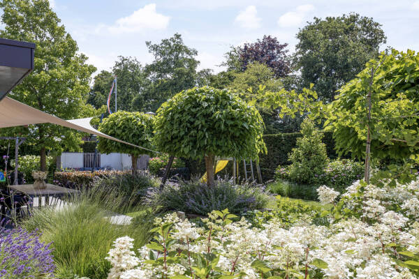 photo 19 Mallebrugge 1