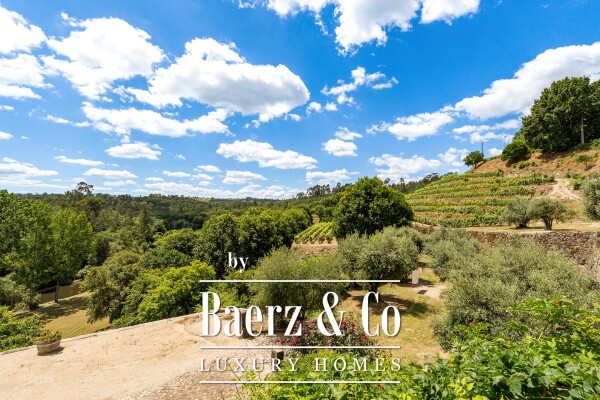 photo 10 Manor house in the Dão wine region