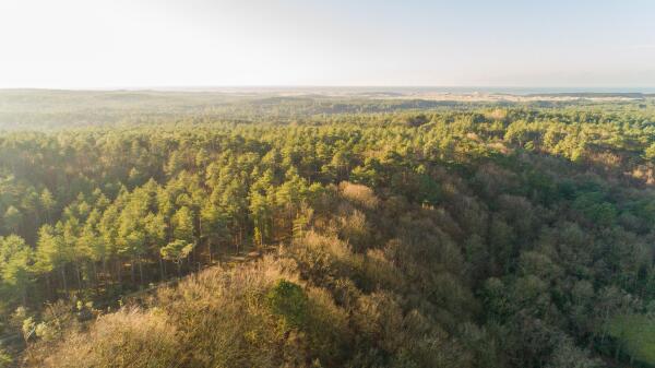 photo 41 Kerkstraat 11