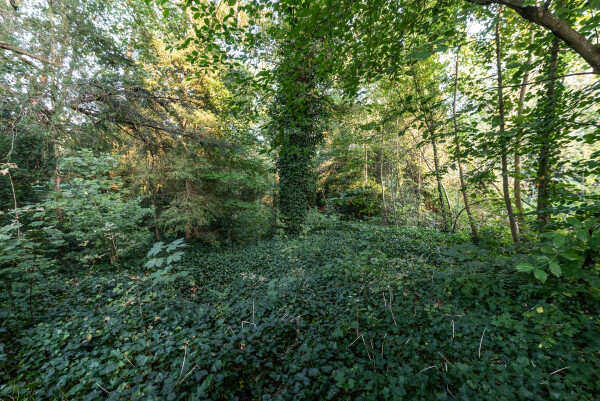 photo 6 Wikkelaan 0 ong