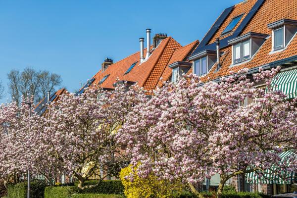 photo 84 Jan van Ghestellaan 42