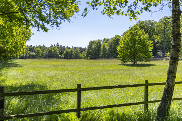 photo 9 Kleine Linderesweg 50