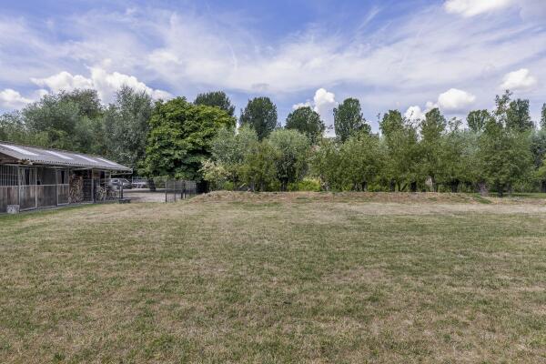 photo 60 Schaardijk 482 K001