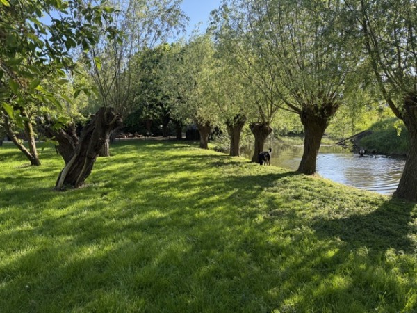 photo 76 Schaardijk 482 K001