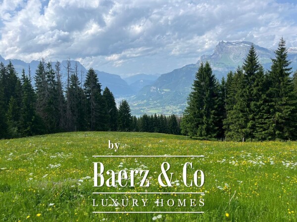 photo 6 An authentic mountain pasture 80 m from the slopes, custom-built in a unique natural setting