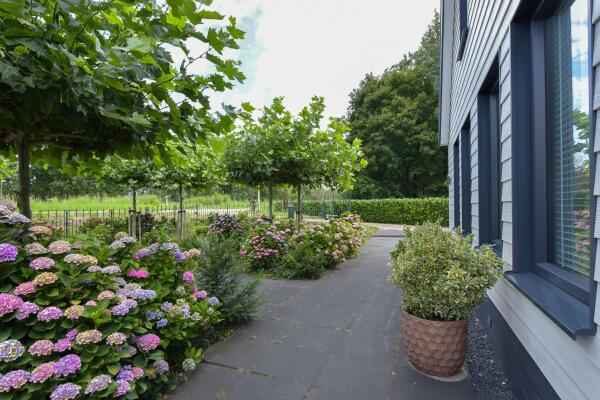 photo 58 Legmeerdijk 342