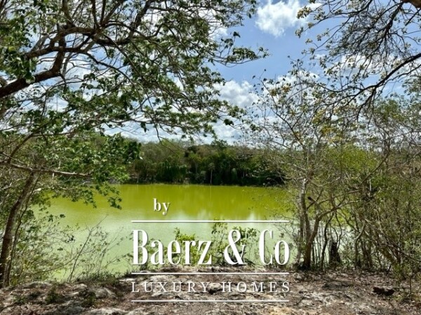 photo 11 Sudzal carretera a Tzalam, Km 7 