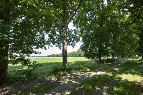 photo 50 Nieuwe Erven 12