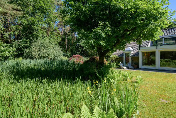 photo 50 Oude Bredasebaan 17