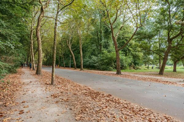 photo 31 Vondelkerkstraat 26 O