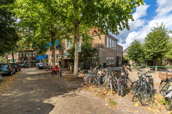 photo 74 Hilleniussingel 25