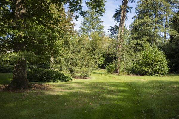 photo 51 de Decanije 41