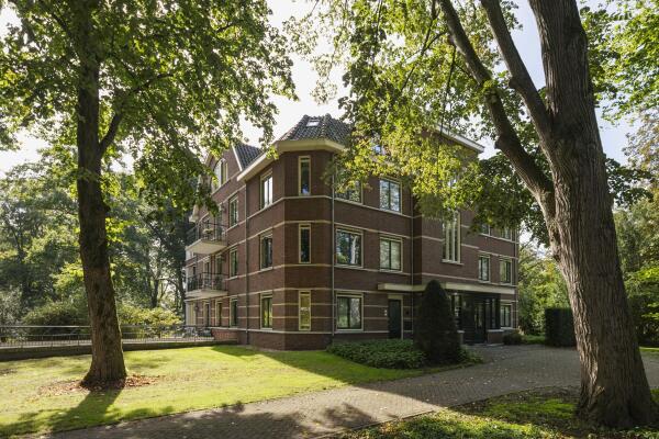 photo 56 de Decanije 41