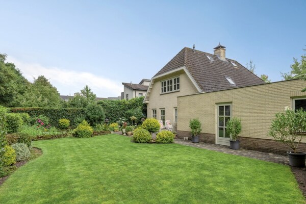 photo 48 Bilzekruid 11