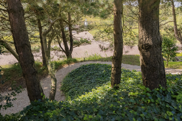 photo 76 Dennenweg 8