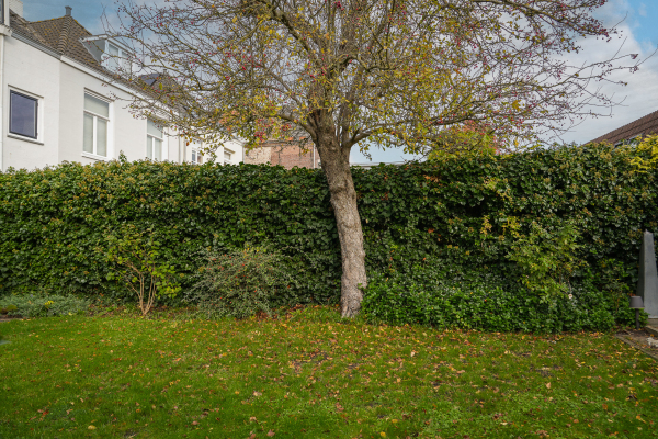 photo 48 Kalkhaven 23