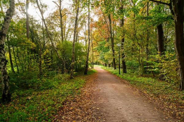 photo 49 Boymansweg 17