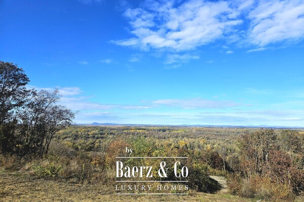 photo 22 Baranja, business complex of six rental houses on a 16,000 m² plot