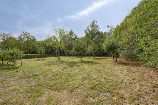 photo 49 Julianaweg 13