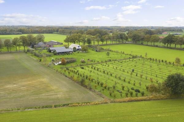 photo 80 Hardermaat 12