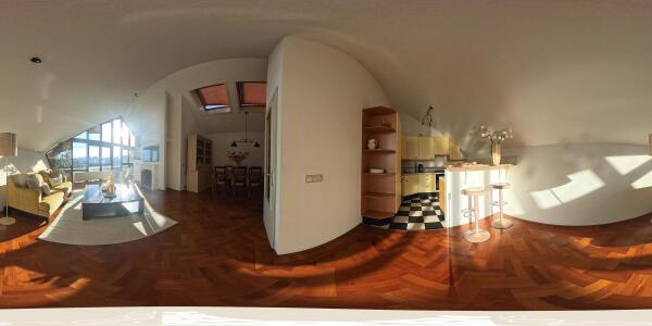 photo 35 Singel 455 F