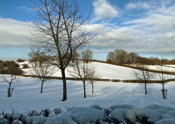 photo 57 Gasthuis 32