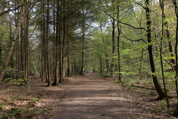 photo 28 Montenspark 1