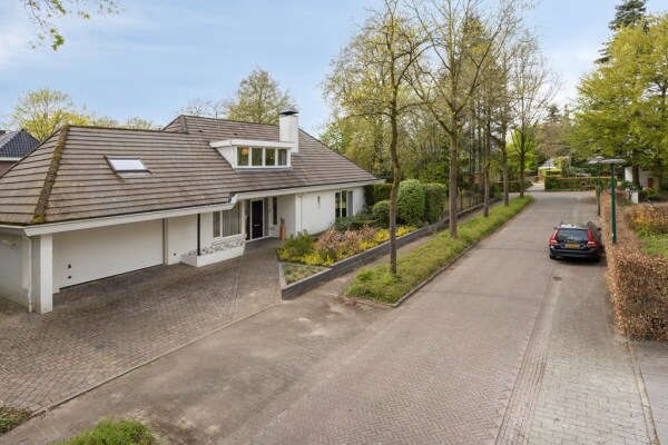 photo 78 Zilvermos 2