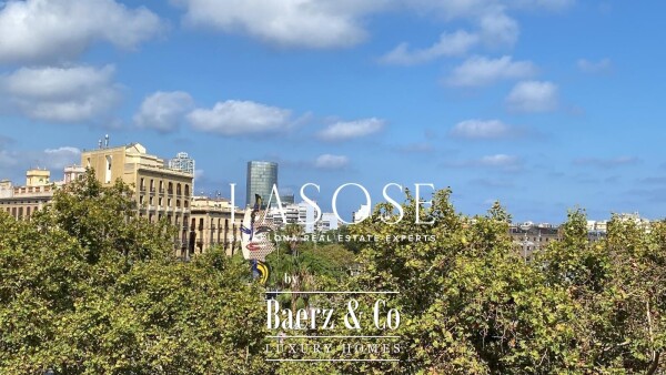 photo 12 Barcelona, El Gòtic