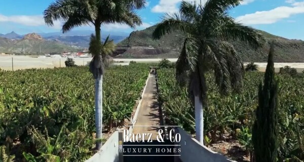 photo 43 Magnificent estate featuring family home and an organic banana plantation