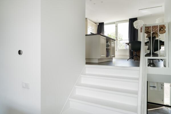 photo 14 Goudpluvier 39